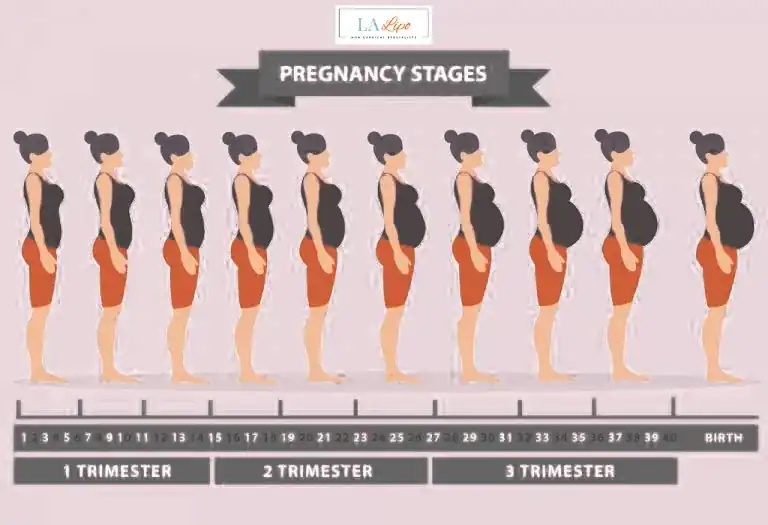 First Trimester (Weeks 1–12): Early Changes You Might Not Notice Upper Walthamstow